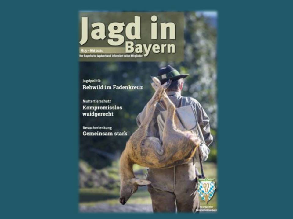 121 Bild Jagd in Bayern Mai